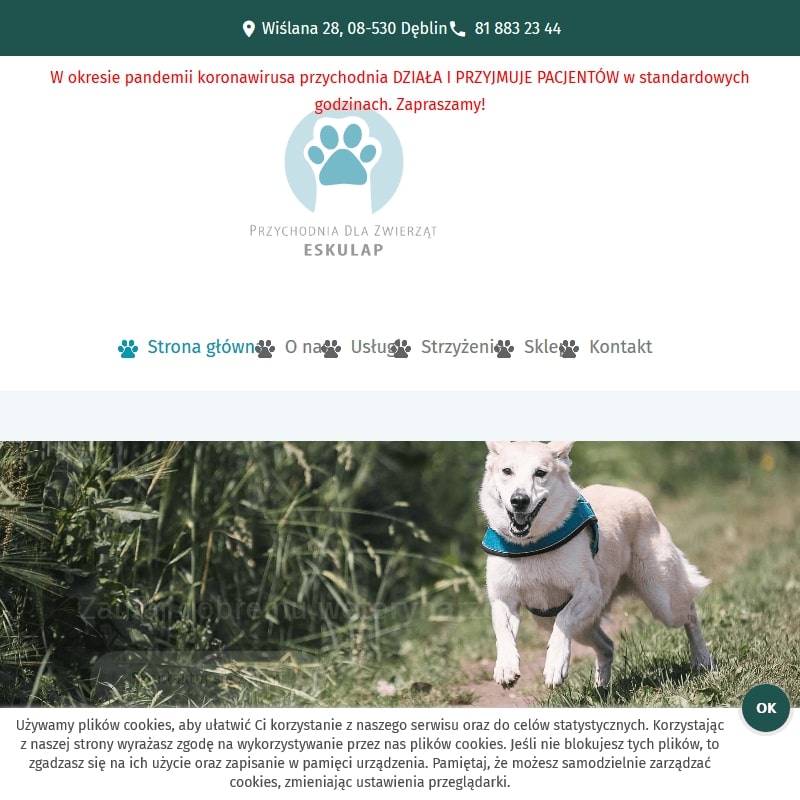 Weterynarz weekend - Dęblin