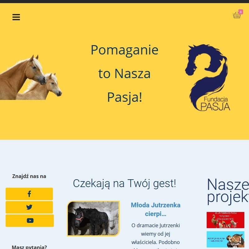 Fundacje pomocy zwierzętom