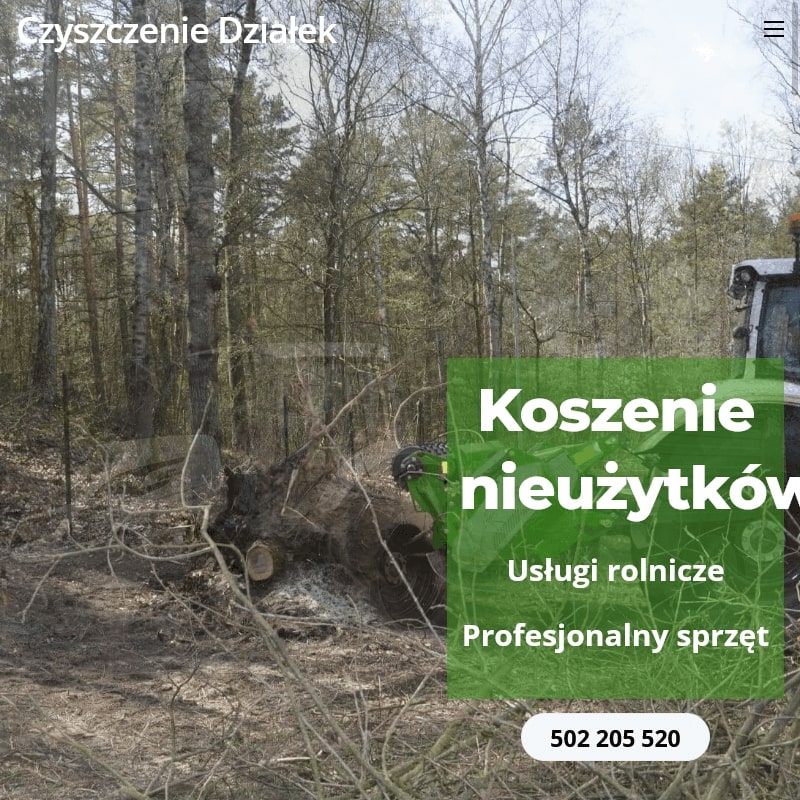 Wycinka drzew i krzewów - Warszawa