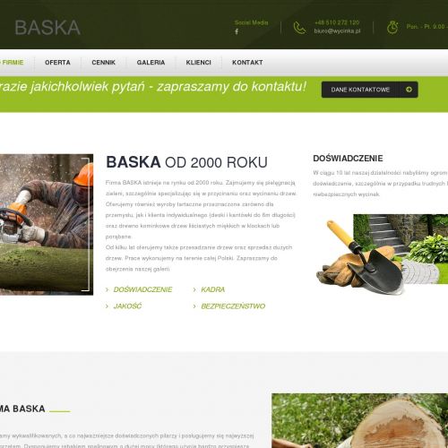 Chorzów - frezowanie pniaków