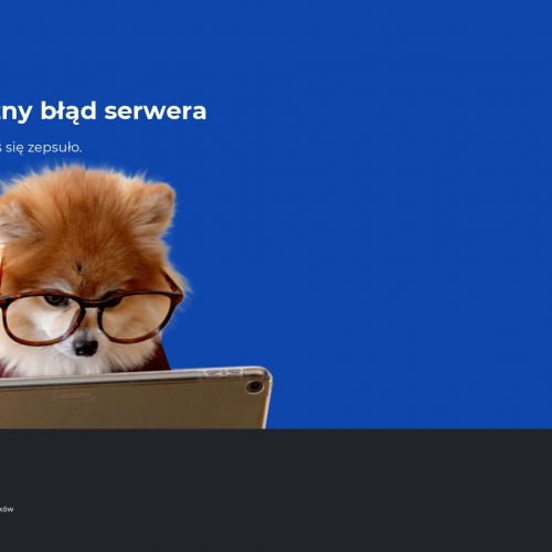 Dzierżoniów - kursy na wózki widłowe