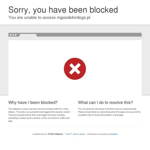 Gryzaki do czyszczenia zębów dla psa