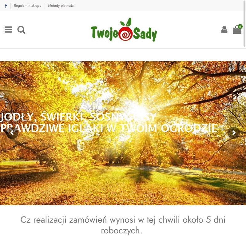 Jabłoń szara reneta